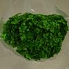 Phantom Flower: Single 20CM Preserved Hydrangea, Handmade Dried Bouquet for Decoration