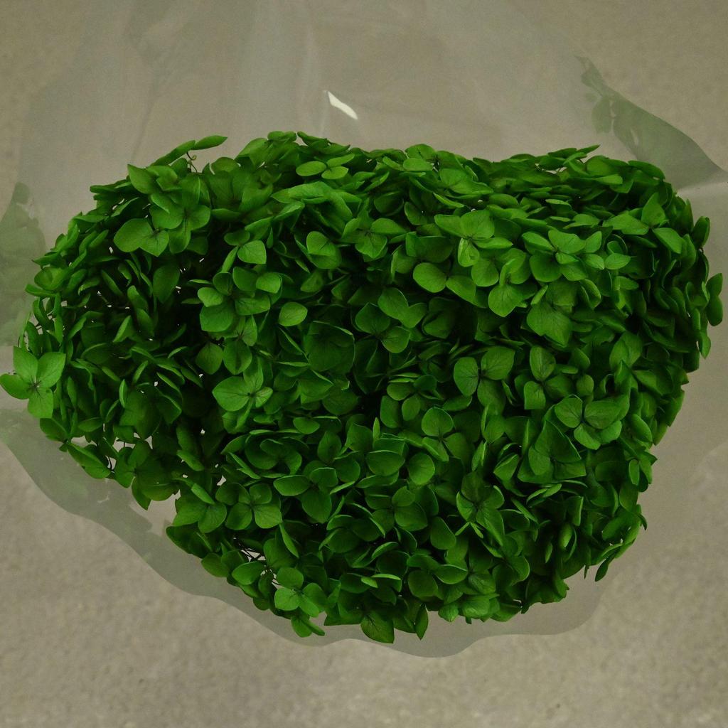 Phantom Flower: Single 20CM Preserved Hydrangea, Handmade Dried Bouquet for Decoration