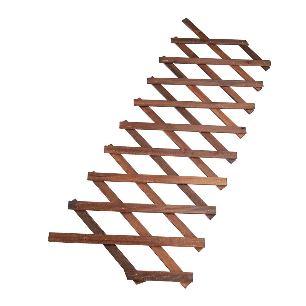 Расширяемые решетки для вьющихся растений Расширяемая сосновая изгородь Поддержка растений для вьющихся растений