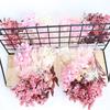 1 Box Preserved Flower Beautiful Bright-colored Dried Flower Stylish Visual Effect Dried Flower Display for Home