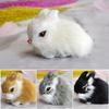 Simulation Chick Rabbit Plush Toy Children Cognition Chicken Model Figurine Realistic Furry Animal Doll Chicken Easter Gift