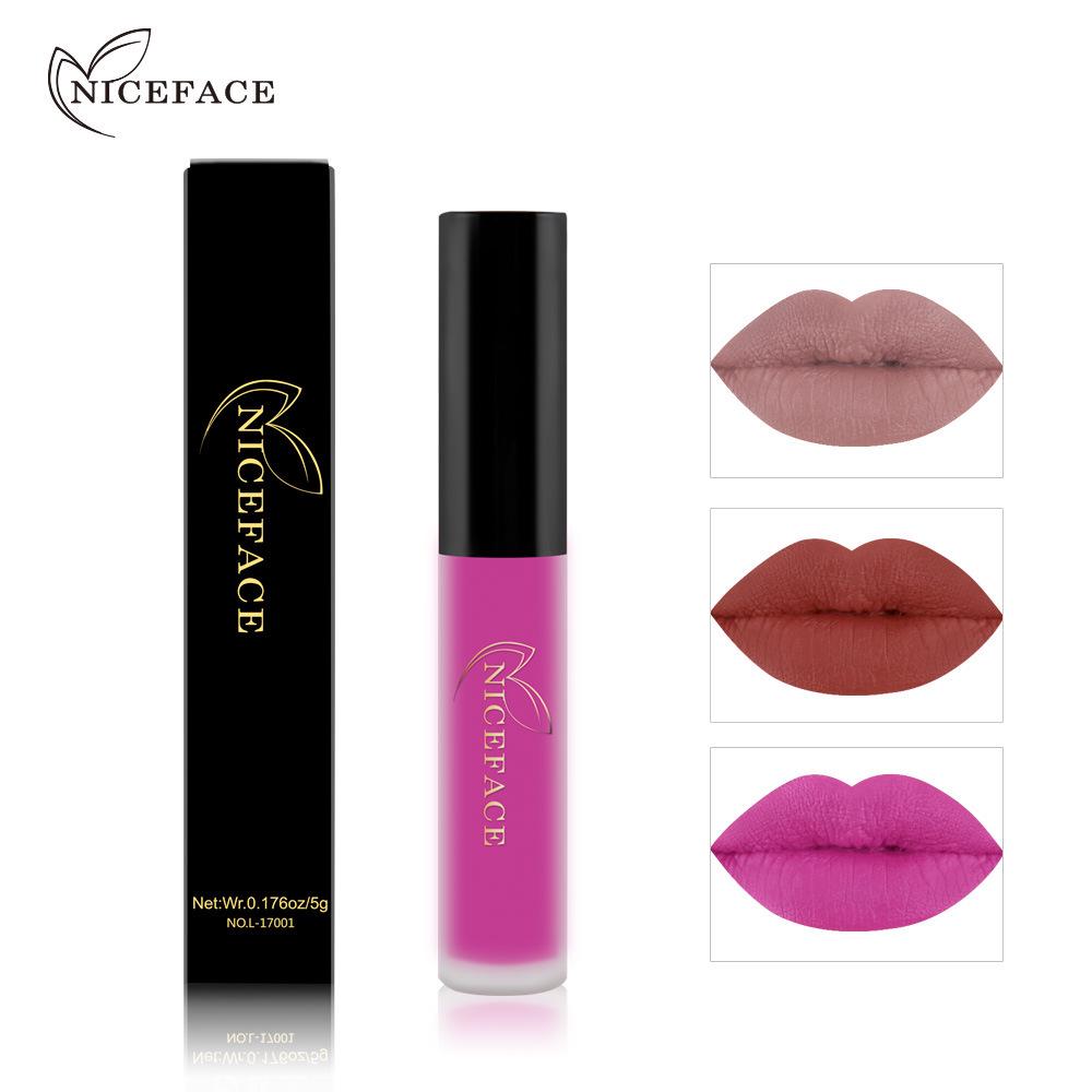 Matte Lip Gloss Velvet Lip Makeup Non‑Transfer Waterproof Lip Tint for Daily Lip Cosmetic