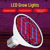 Светодиодная лампа для роста растений E27 - красный/синий спектр, доступна в вариантах 126, 200 или 300 бусин