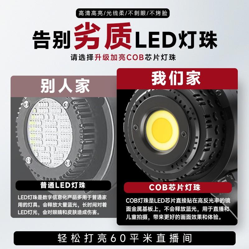 Professional LED Spherical Fill Light Streamers Video Shooting Studio Use