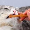 1 Set Pet Toothbrush Cats Dogs Teeth Cleaning Brush Soft Silicone Toothbrush