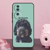 Brown Cockapoo Case For Honor Magic 8 Pro 5 6 7 Pro Win X9a X9b X9c X9d X8b X8c 50 70 90 200 400 Lite Cover