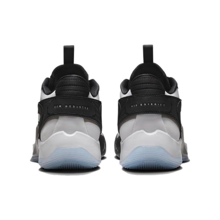 Мужские кроссовки Air Jordan Luka 2 TB Черный Белый Чистый Платиновый FN7400-100