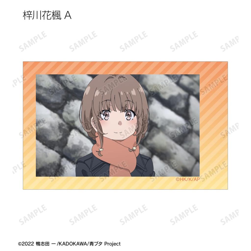 Rascal Does Not Dream of a Dreaming Girl trading instant camera style illustration box of 12 cards,