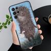 Чехол для телефона Samsung Galaxy A73 A13 A22  A32 A71 A33 A52 A53 A72 A73 A51 A31 A23 A34 A54 A52 A53S Ёжик в тумане Funda