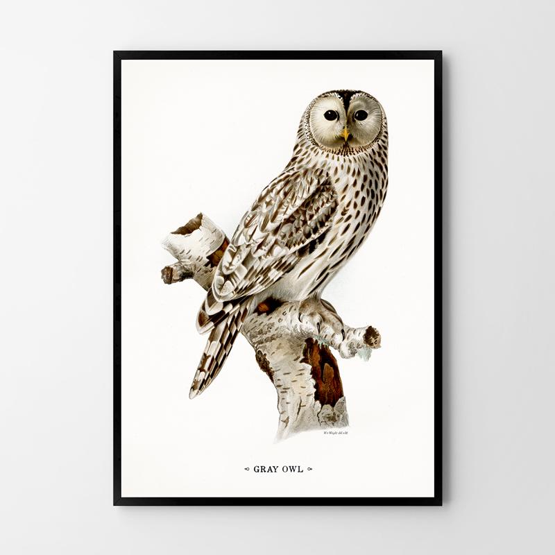 Owl Vintage Poster
