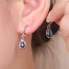 Oval Blue Crystal Earrings for Women with Niche High-end Fashion Geometric Earrings Fashion Earrings
