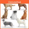 Shiba Inu Simulated Golden Retriever And Border Collie Pet Dog Ornament Model