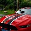 Для Ford Mustang 15-20 узор из углеродного волокна, полный кузов, гирлянда, декоративная наклейка, капот двигателя