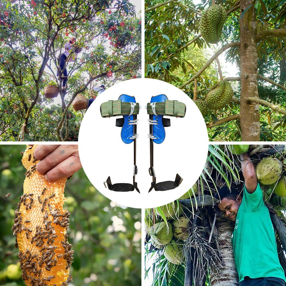 Шипы для лазания по деревьям, регулируемая высота, прокалывающий инструмент для лазания по деревьям, набор с предохранительным поясом, нагрузка 350 фунтов для лазания, сбора