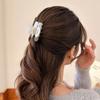 Hair Clip Acrylic Hair Claw Korean Style Women Shark Clip Fashion Square Hair Claw  Girls