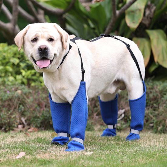 Водонепроницаемые сапоги для собак, регулируемые, с защитой лап, противоскользящие, с подтяжками, для прогулок на свежем воздухе