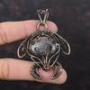 Dinosaur Bone Gemstone Pendant Copper Wire Wrapped Pendant Tortoise Pendant Ethnic Jewelry Handmade Pendant Copper Wire Jewelry Gift For Her