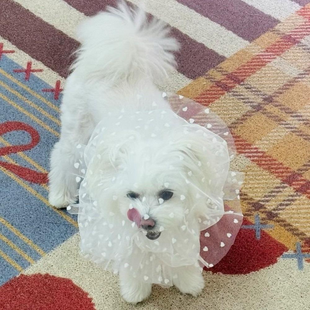 Mesh Pet Anti-Mosquito Headgear Breathable Love/Wave Point Pattern Dog Decorative Headgear Adjustable Dog Face Mask