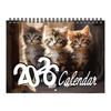 2026 Календарь с котятами Янв.2026 - Дек.2026 12-месячный настенный календарь с милыми картинками кошек для организации и планирования дома и офиса