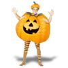 Giant Pumpkin Inflatable Costume Costume with Hat
