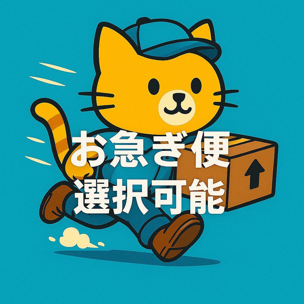 [USED] Anthology 123/3 works set (2 discs each) / the beatles The Beatles (CD)