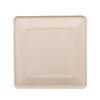 Yijie Biodegradable Square Fast Food Plate