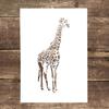 A4 Size Decorative Reusable Giraffe Stencil Template Painting Stencils for DIY Crafts Scrabooking Painting On Wood,Canvas,Floor,Wall and Tile
