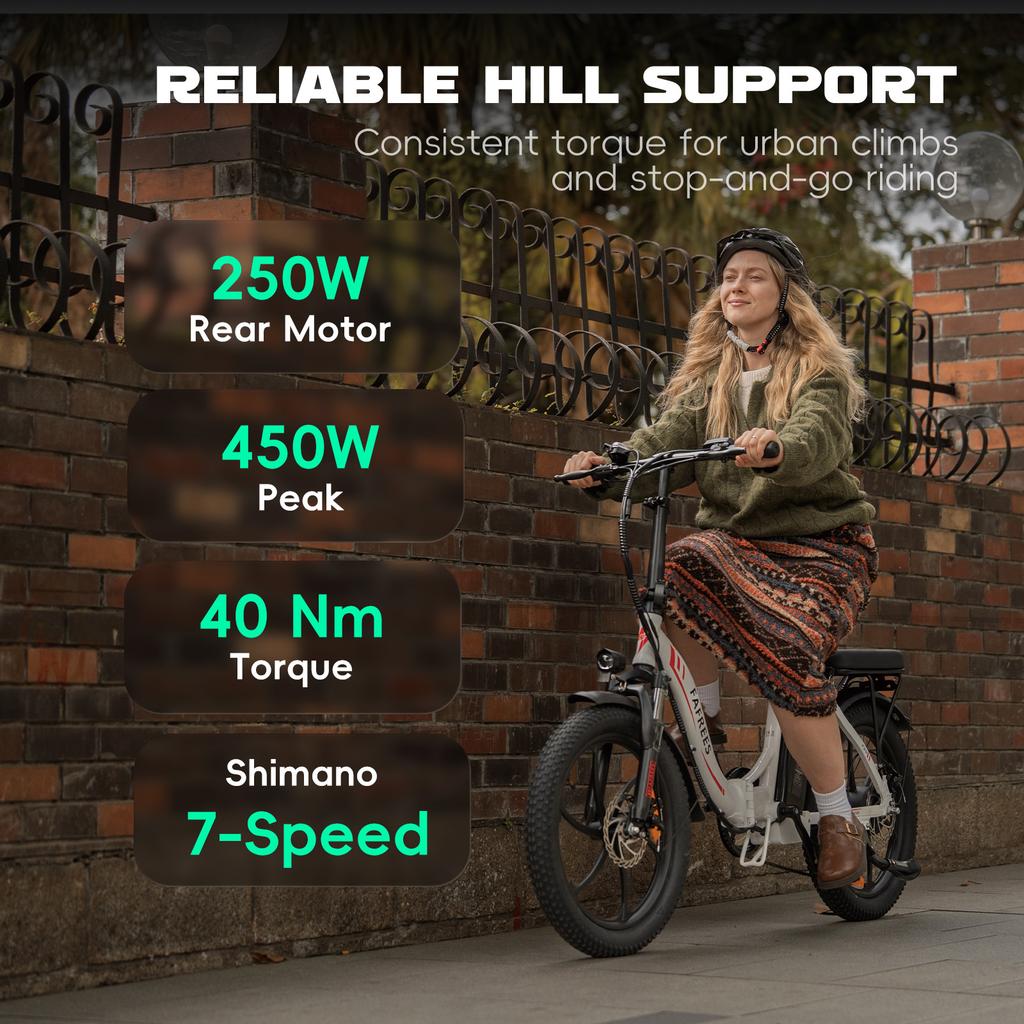 FAFREES F20 Folding Electric Fat Tire Bike – 648Wh Battery, 250W Motor, 20x3.0" CST Tires, 25km/h E-Bike for City, Snow, Sand & Commuting