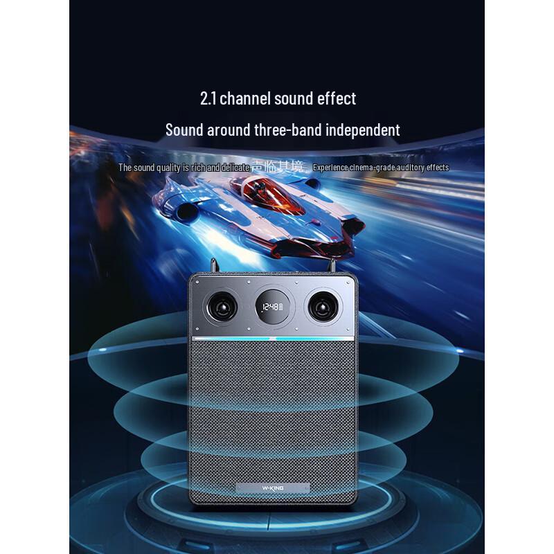 W-King T6Pro Portable Karaoke Bluetooth Speaker