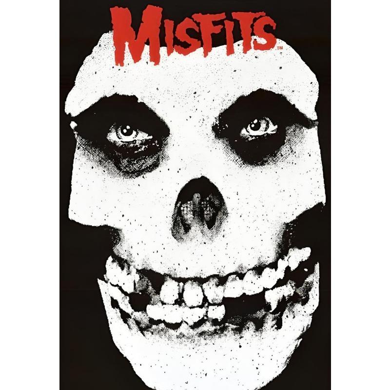 Vintage Hardcore Horror Punk The Misfits Live Photo Music Concert Art Poster Canvas Painting Wall Prints Picture Room Home Decor