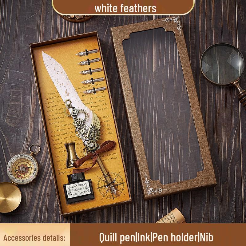 European Steampunk Quill and Ink Set with Wax Seal - Retro Fountain Pen Gift Box for Birthdays