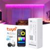 WiFi LED Controller Alexa Google Home Voice Control RGB RGBW CCT LED Strip Smart Life APP Controller Bluetooth DC12V-24V