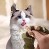 Мячики с кошачьей мятой Забавные кошачьи игрушки в виде рыбьей кости Лизун-лакомство Кошачья мята Серебристая лоза Игрушка для котят для жевания и чистки зубов для кошек Товары для домашних животных