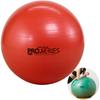 Theraband Balance Exercise 5cm Includes Core and Rehabilitation Ball, Ball, Diameter, Red, SDS-55, Instructions, Heavy-Duty Chair-Compatible,