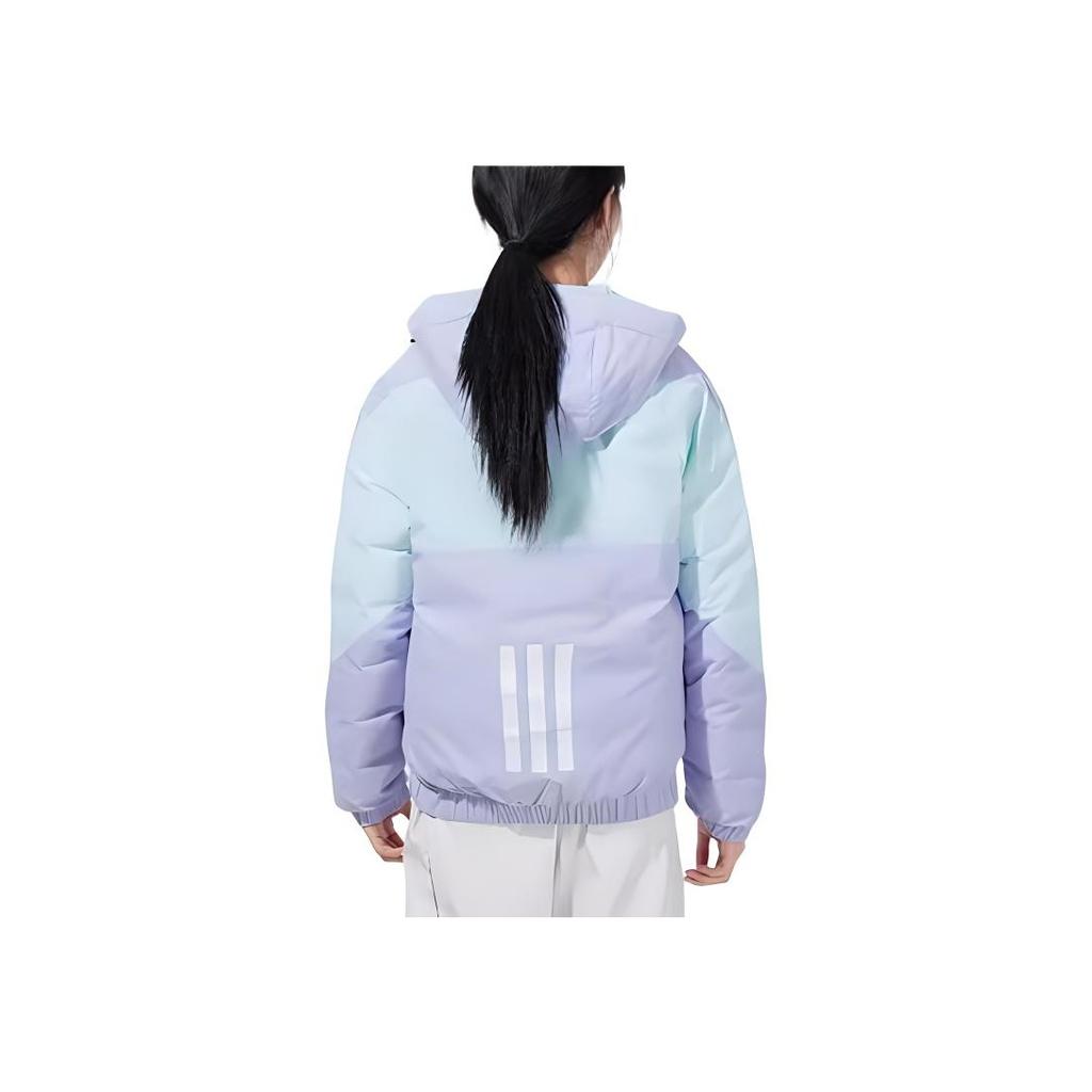 Adidas Womens Color Block Down Jacket Women Jacket Light-Purple GT6546
