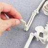accessories Biology teaching Skeleton model Human Bones Halloween props Car Rearview mirror pendant