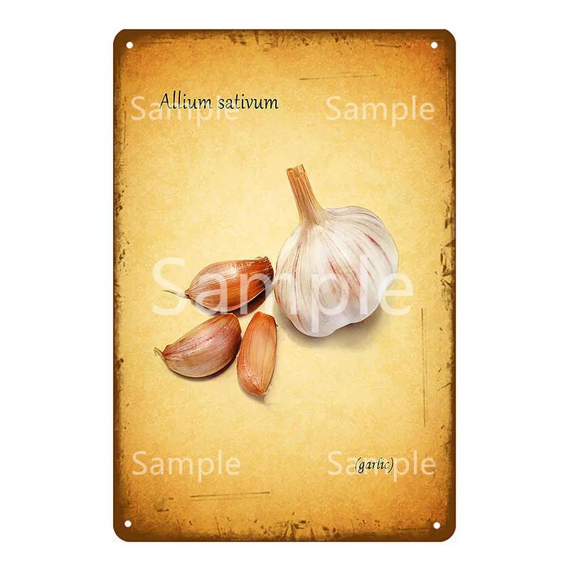 Памятная доска Thatchers Фрукты Бананы Металлическая вывеска Винтажное украшение фермы Домашний декор Наклейка на стену Магазин Живопись Постер для ресторана YL168