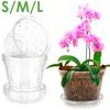 5Pcs Orchid Pot for Repotting 4/5/6 Inch Transparent Slotted Orchid Pots with Holes and Saucers Orchid Flower Plant Repotting