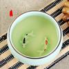 Chinese Longquan Celadon Porcelain 1pcs Tea cup,China Teacups and SaucerTea Bowl Golden Fish 60ml China Tea Pot Celadon Teacups