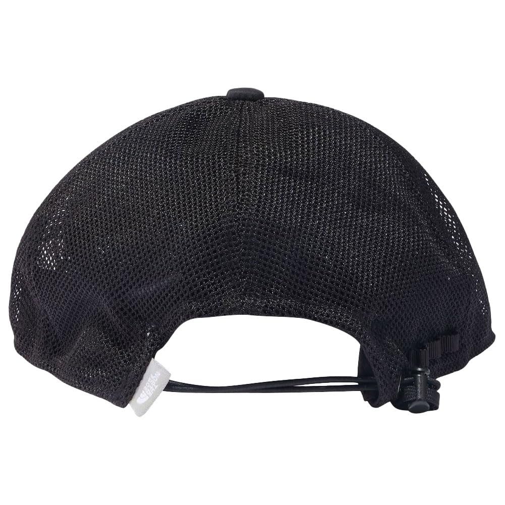 The North Face All Mesh Graphics New Taupe Large Cap, 2,