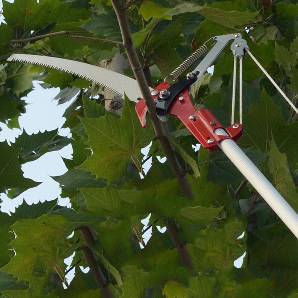 4-х колесный острый садовый секатор для обрезки деревьев, триммер для обрезки