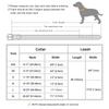 Real Leather Dog Collar Leash Set Personalized Pet Collar With Leash Free Engraving Nameplate For Small Medium Large Dogs
