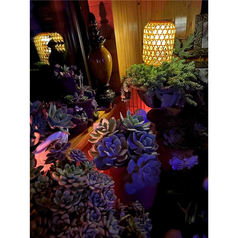 Садовый балкон Декоративное окружающее освещение