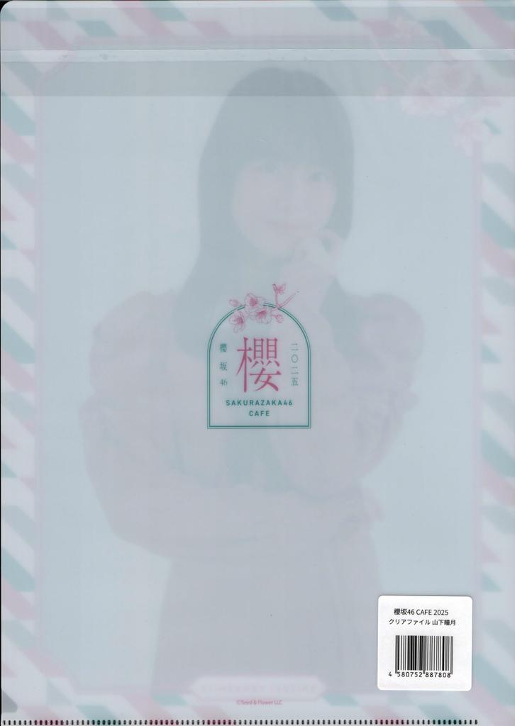 Sakurazaka46 Clear File CAFE 2025 Yamashita Hitomi