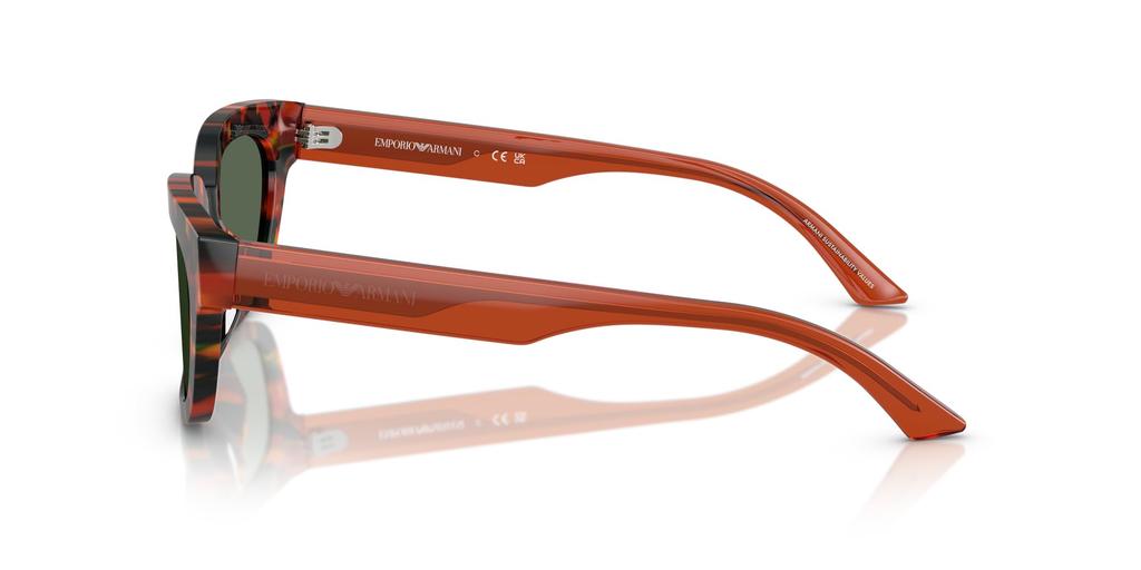 Sunglasses 0EA4233U HAVANA BROWN 53 [Emporio Armani]