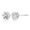 LARA Christie PT900 Diamond Earrings [Lara Christie] 0.3ct Lp71-0001