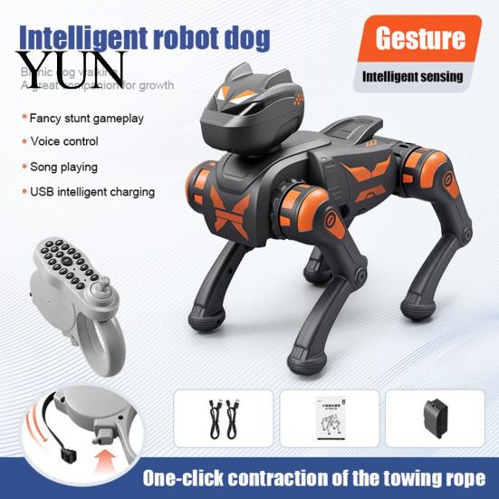 Interactive Dog STEM Toy Remote Control Robot Toy, Voice Programmable Smart Electric Educational Robotic RC Mechanical Puppy for Toddlers Boys