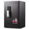 Deli Electronic Biometric Security Safe