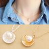 Fashionable Women Necklace Shell Faux Pearl Durable Attractive