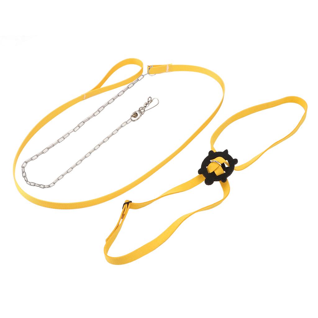 Turtle Harness Leash Adjustable Skin Friendly Pet Harness Reptile Leash for Outdoor